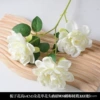 Gardenia flower white