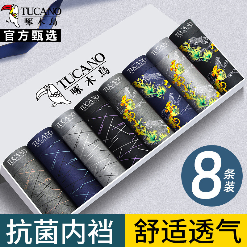 [항균 8팩] 962XT+971 영문