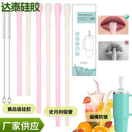 亚马逊新品史丹利杯吸管硅胶吸管防嘟嘴抗皱吸管套装Stanley吸管