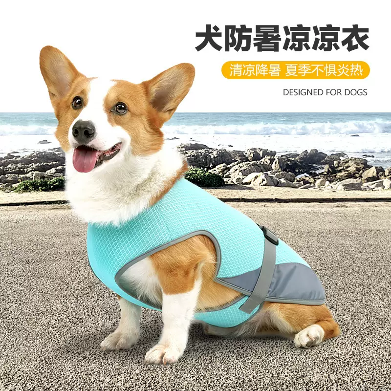 狗狗夏季凉凉衣服网格透气防降温宠物胸背带柯基泰迪小型犬宠物