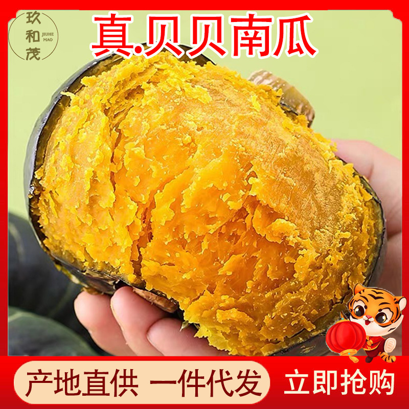 Authentic Guangdong Beibei Pumpkin 4.5kg Whole Box Sweet and Soft Baby Pumpkin for Pregnant Women 10 Wholesale Free Shipping 5 Old Pumpkins Authentic Guangdong Beibei Pumpkin 4.5kg Whole Box Sweet and Soft Baby Pumpkin for Pregnant Women 10 Wholesale Free Shipping 5 Old Pumpkins
