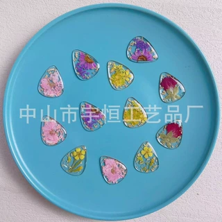 吉他拨片亚马逊热卖新款吉他片干花树脂个性乐器配件美轻小件