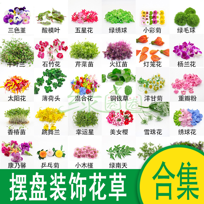 新鲜摆盘装饰花草合集 日料刺身姿造装饰花 酒店冷菜摆盘装饰花草