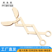 �Ƽ�С����DIY�ֹ��{�~�Q�ƌW���С�W�� stem�������ǿƽ̲��ϰ�