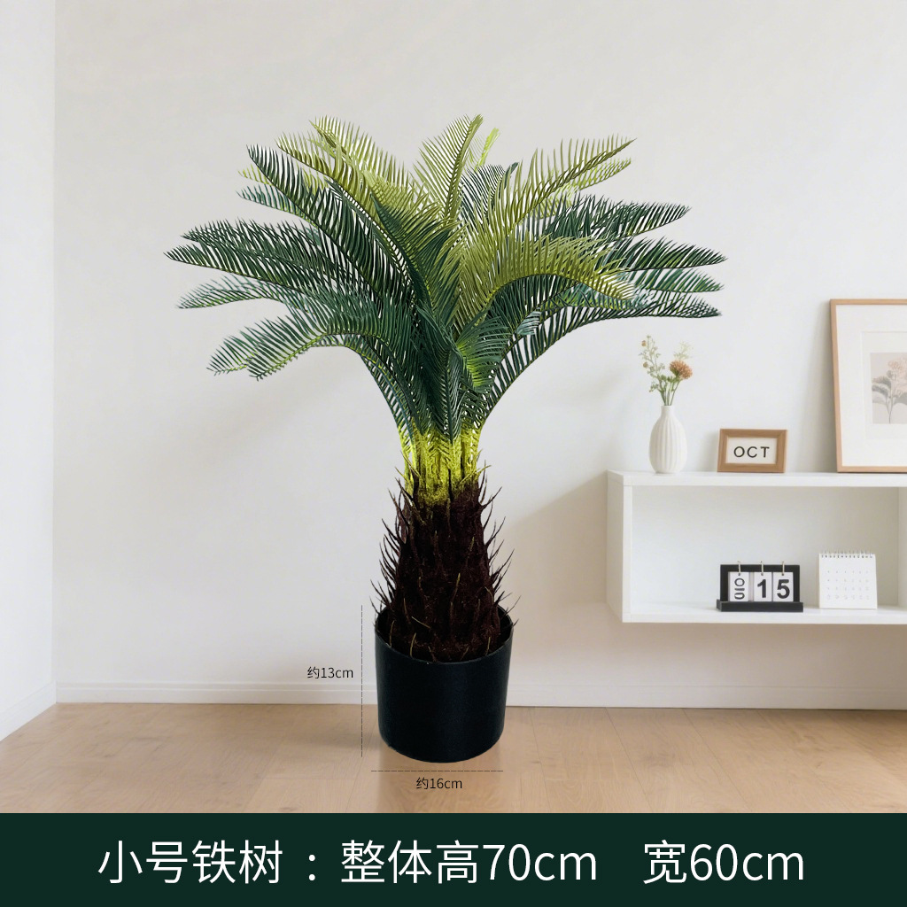 Tamaño pequeño Árbol de hierro 70cm