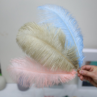 ���l�r�Bë30-35cm��ɫ�r�B��ë��c�[���������仨ˇ�b�DIY����