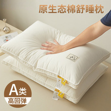 ʷŬ�� ���^��о����o�i׵�����ݳ�����о�W������һ�����^