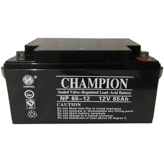 冠军蓄电池NP24-12 12V24AH消防主机UPS/EPS电源监控设备用电池