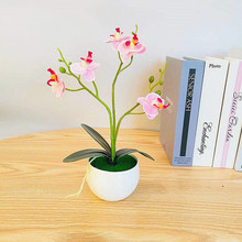 �������Լٻ����Է�������mС�辰3D��ӡ�����廨���컨����