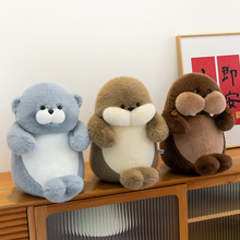 �նպ���ϵ�пɐ���żë�q��߹��к��������������˹���Ů�ѶY��