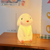 Brand LED cute night light for bedroom, lantern for bed, creative jewelry, creative gift