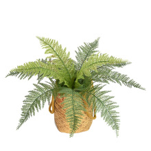 ��؈����ֲ��12�^��˹�ݴ�ާ���҃ȼپGֲ����ֲ��bٻ��羳