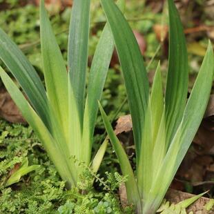 ���Sβ������ͥԺ���Ի����L�L⏺����L⏻�ˮ�B������ĵ�����ļ�