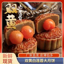 �p���S�Vʽ��Ƥ���ɏ����������ɢ�b�̵��S�羳���S��������l