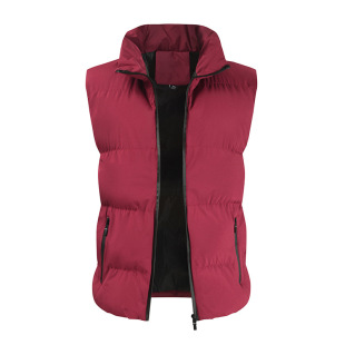 2024 Autumn and Winter New down Cotton Jacket Men's Spring and Autumn Trendy Brand Thickeneded Warm Cotton Vest Cotton Vest