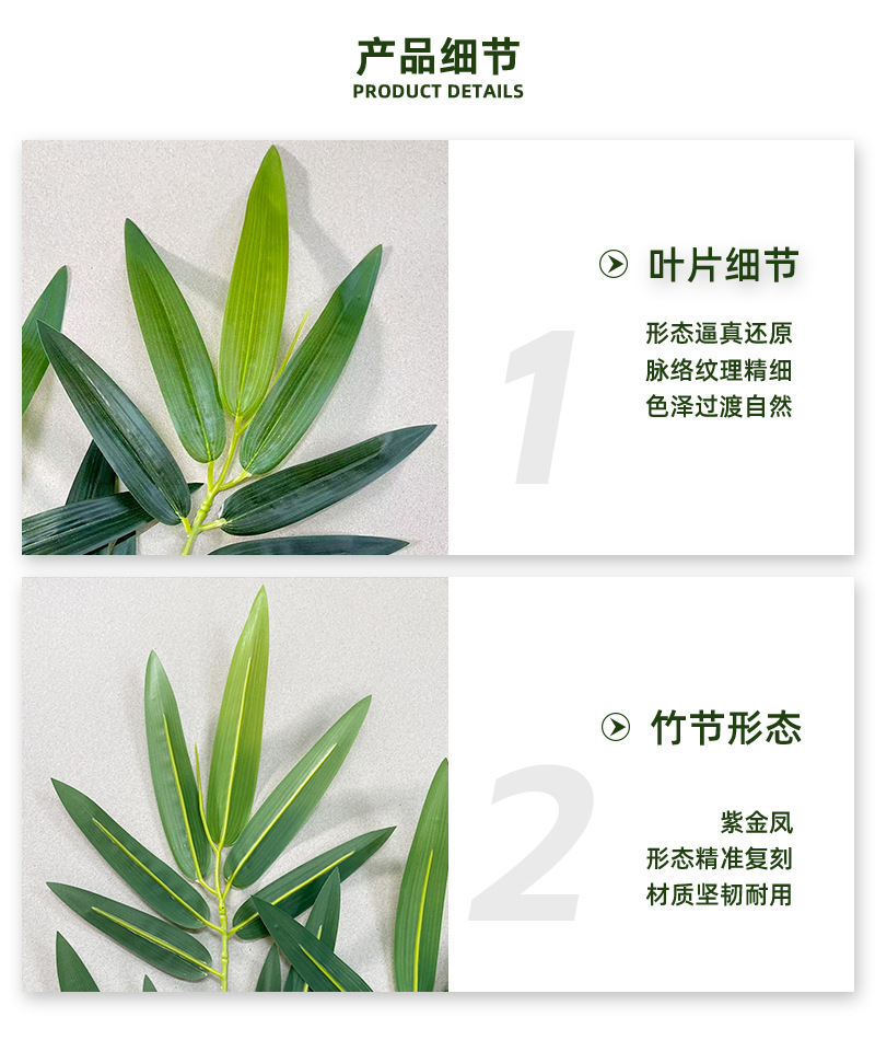 佳裕桂竹_07