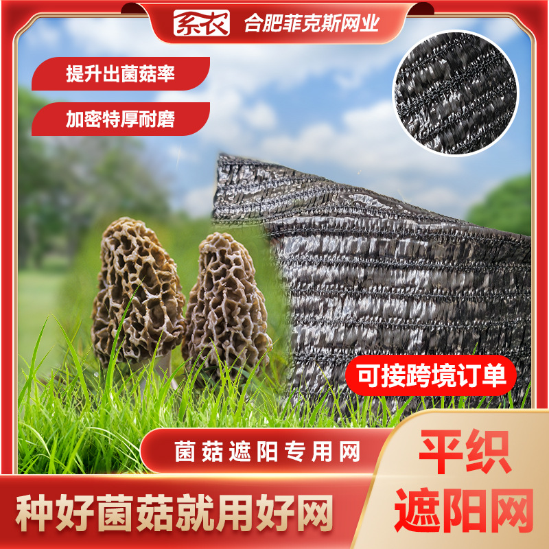 羊肚菌种植专用遮阳网降温保湿遮光95%大棚防晒批发可定制批发
