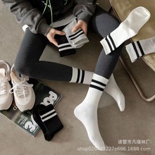 �l�y�\����ͲŮ�m�ܲ��ٴ�s�r�ЌWԺ�L���ļ��ߎ��LͲins�n��