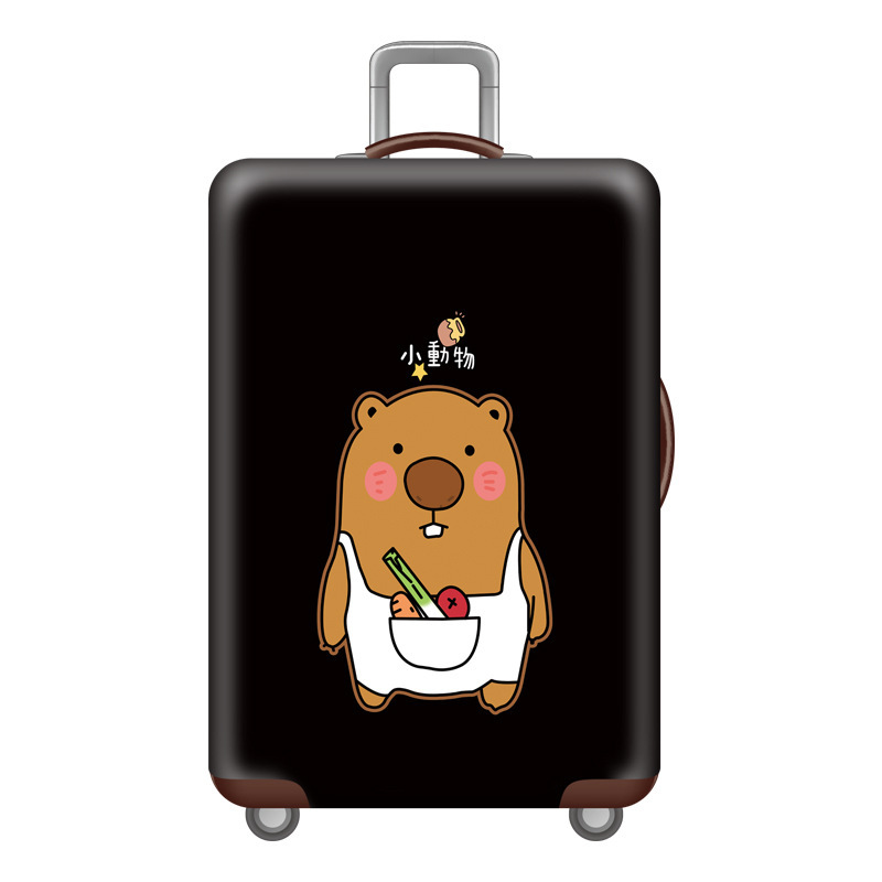 작은 곰 여행