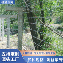 SҌWУ꠱OzI ƬKL\䓽zWȦW̽zL\Ƭ