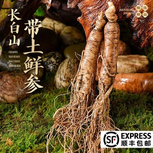 ��S���]�r�˅��L��ɽ�������׎����r��500g���a�ݾ����l