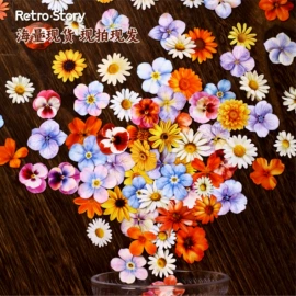 创意贴纸;手账贴纸/胶带;手账周边素材