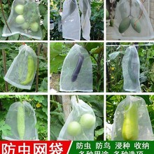 ���x�W���x������ω���B���V�W���N������ˮ���״����D�������W��