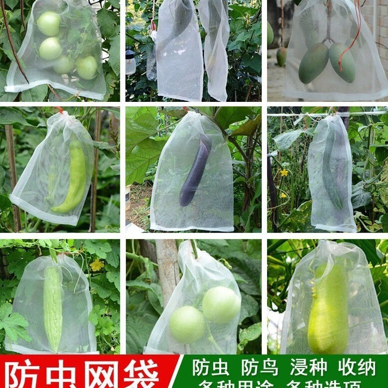Insect-Proof Net, Insect-Proof Bag, Fruit Fly-Proof Bag, Bird-Proof Bag, Filter Net, Seed Soaking Bag, Grape Fruit Bagging, Hanging Cured Meat Nylon Net Bag