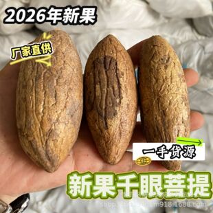 ǧ������ԭ�Ϸ���ԭ�����������ִ������ӷ���ǧ������ԭ�Ѵ��