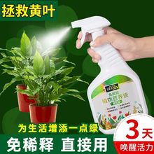 花大师营养液植物通用养花肥料发财树专用肥复合肥叶面肥水培绿萝