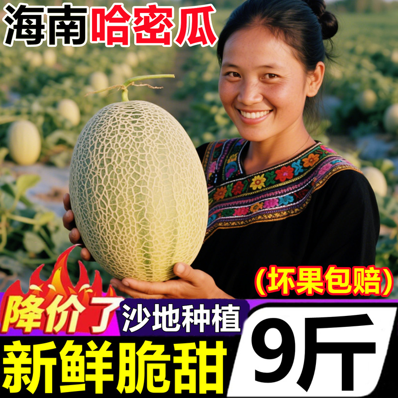 Authentic Hainan Cantaloupe Fresh One Box Fruit New Seasonal Xinjiang Old Man Melon Rose Net Pattern Honey Melon Xichou Honey