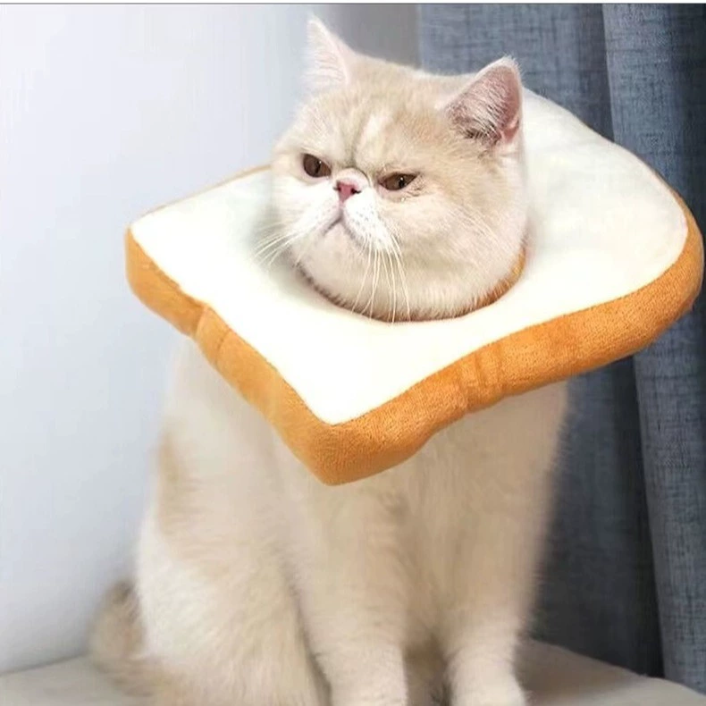 Elizabeth Circle Собачья Шея Творческий тост Авокадо Кошка Хед Кошка Защита от стерилизации Регулируемый ошейник