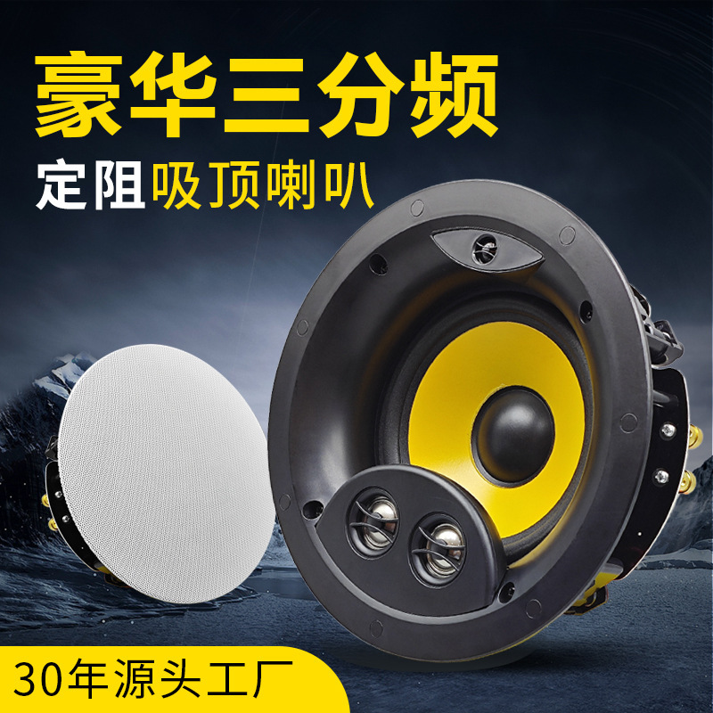 Ceiling Speakers High-End Luxury Three-Way Ceiling Speakers High-Fidelity Ceiling-Mounted Fixed-Resistance Speakers