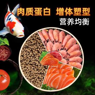 ���~�\���~ʳ���ͨ����ԭɫ�w������ˮ�^�p�~�Z���ô�С���~����