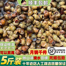 5���b��S��ˮ�������r���w����Ŀɼ�β���r��·�oɳʯ�ݽz����