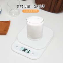�N����WH-B31���~�Ӻ決��ӳӾ�׼�N����ӷQ7kg/0.1USB���