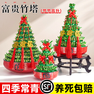 �����߸��F��ˮ��ֲ�������҃ȿ͏d������լ���w�����Gֲ�����՚�