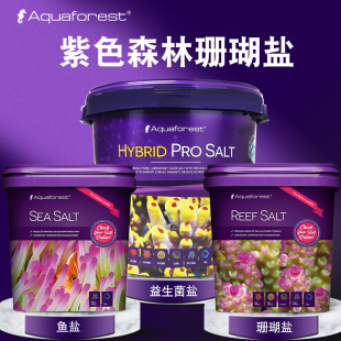 ���mAquaforest��ɫɭ�ּӏ��� Ӳ��SPSɺ�����} ɺ���} ��ˮ�~�}