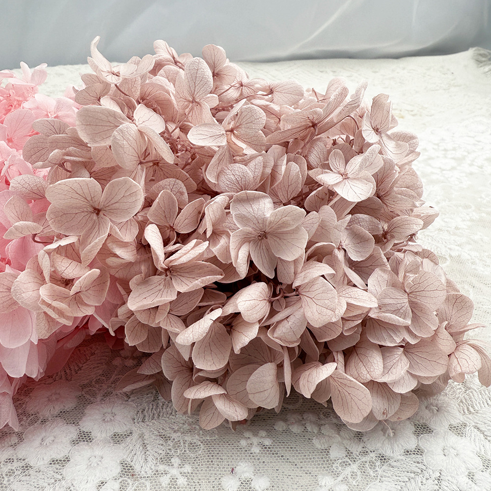 Flor mágica Diy Flor eterna A Material de hortensia de madera 100g Material de flor real Flor seca Unicornio Sentido avanzado Matrimonio en casa