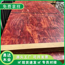 ���Bľģ����ľо��Ĥ��ľģ���z�ϰ���Ӱ���о��ȩ�z��С�t��