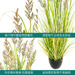 仿真植物水稗草盆 大型植物盆景造景装饰餐厅室内仿生绿植摆件