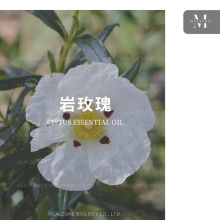 �ЙC��õ�徫�� �������ԠI�a�^ ����ԭ���M�چη�����