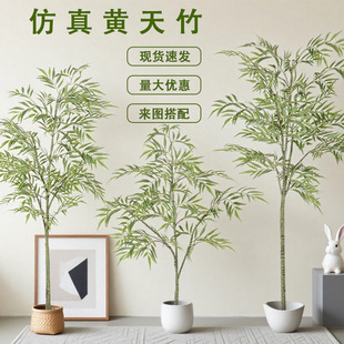 �S�������Է���Gֲ������٘��҃ȿ͏d�b[������Ƶ�����쾰