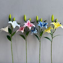 ���滨 �ٺϻ�3D��ӡ ��ˮ�ٺϻ�c�Ҿӿ羳�ٺϹ��S�ٻ��S�����l