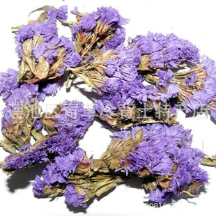 ������,����������,���l��ș�������ң��Ҳ�����ș���Ԓ��ԃ