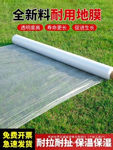 ��ɫ��Ĥ�r�ñ��ر���׵�Ĥ�������ϱ�Ĥ�߲˷N���^����ɫ����Ĥ