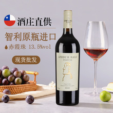 智利原瓶进口红酒赤霞珠干红葡萄酒厂家批发团购一件代发招商代理