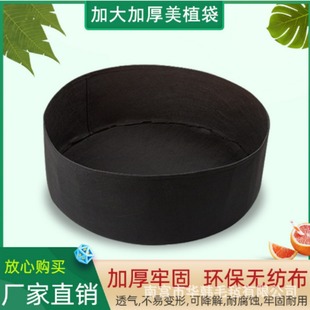 �羳��ɫ�Ӂ�ë�ַNֲ�������߲˷Nֲ������A�����L���NֲͰ