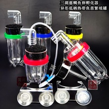 三湖慈鲷鱼卵孵化器异形底栖卵生鱼卵虾卵繁殖罐胡子大帆养殖工具