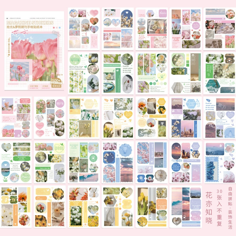 Стикер серии справочника Pickling the Journal Handbook Retro INS Salt Salt Salt Flower Sky Patching 30 листов